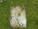 image number Cason Mary 342